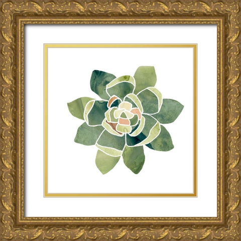 Succulent Cameo XIV Gold Ornate Wood Framed Art Print with Double Matting by Vess, June Erica