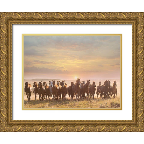 Horse Motion I Gold Ornate Wood Framed Art Print with Double Matting by PHBurchett