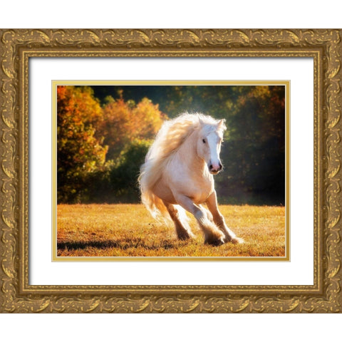 Horse Motion IV Gold Ornate Wood Framed Art Print with Double Matting by PHBurchett