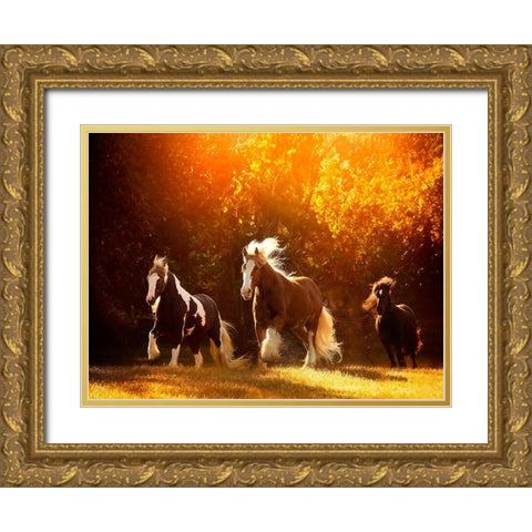 Horse Motion V Gold Ornate Wood Framed Art Print with Double Matting by PHBurchett