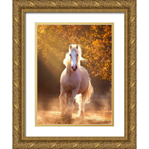 Horse Motion VIII Gold Ornate Wood Framed Art Print with Double Matting by PHBurchett