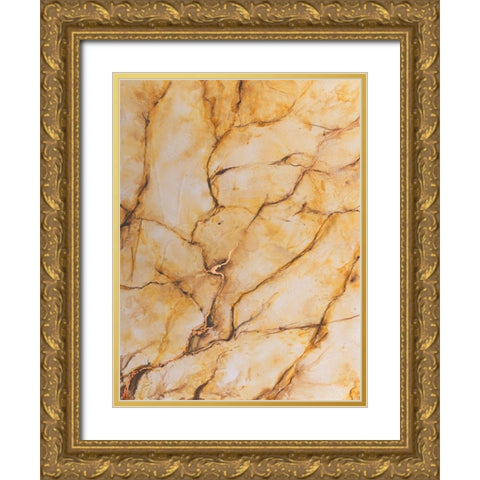 Yellow Marble I Gold Ornate Wood Framed Art Print with Double Matting by Willett, Michael