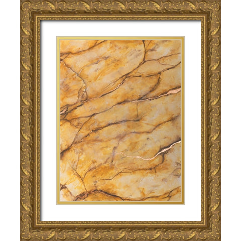Yellow Marble II Gold Ornate Wood Framed Art Print with Double Matting by Willett, Michael