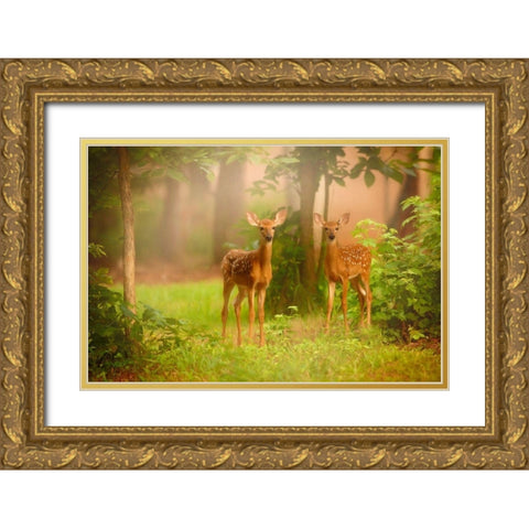 View At Rest V Gold Ornate Wood Framed Art Print with Double Matting by PHBurchett
