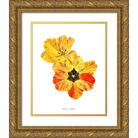 Olives Tulips I Gold Ornate Wood Framed Art Print with Double Matting by Popp, Grace