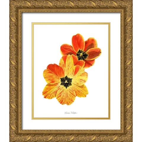 Olives Tulips II Gold Ornate Wood Framed Art Print with Double Matting by Popp, Grace