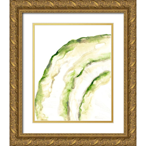 Lichen Halo I Gold Ornate Wood Framed Art Print with Double Matting by Vess, June Erica