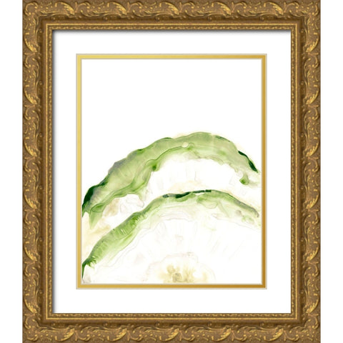 Lichen Halo II Gold Ornate Wood Framed Art Print with Double Matting by Vess, June Erica