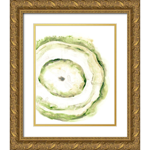 Lichen Halo III Gold Ornate Wood Framed Art Print with Double Matting by Vess, June Erica