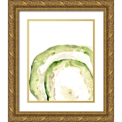 Lichen Halo IV Gold Ornate Wood Framed Art Print with Double Matting by Vess, June Erica