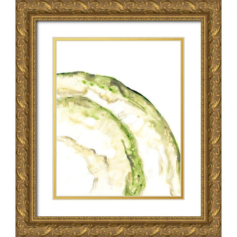 Lichen Halo VI Gold Ornate Wood Framed Art Print with Double Matting by Vess, June Erica