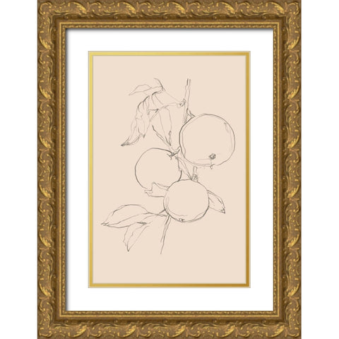 Fruit Contour Study I Gold Ornate Wood Framed Art Print with Double Matting by Harper, Ethan
