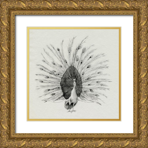 Ebony Plumed Peacock I Gold Ornate Wood Framed Art Print with Double Matting by Popp, Grace