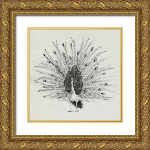 Ebony Plumed Peacock II Gold Ornate Wood Framed Art Print with Double Matting by Popp, Grace