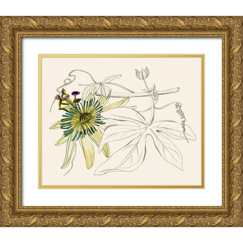 Passionflower I Gold Ornate Wood Framed Art Print with Double Matting by Wang, Melissa