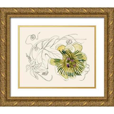 Passionflower II Gold Ornate Wood Framed Art Print with Double Matting by Wang, Melissa