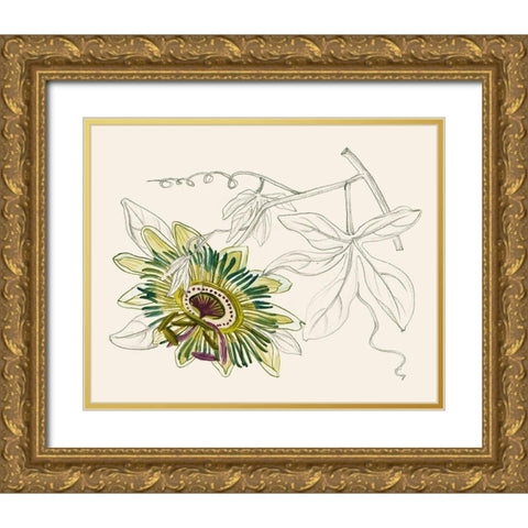 Passionflower III Gold Ornate Wood Framed Art Print with Double Matting by Wang, Melissa