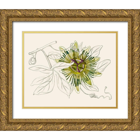 Passionflower IV Gold Ornate Wood Framed Art Print with Double Matting by Wang, Melissa