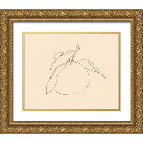 Citrus Contour I Gold Ornate Wood Framed Art Print with Double Matting by Barnes, Victoria