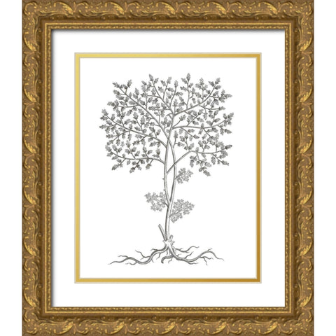 BAndW Plant Specimen IV Gold Ornate Wood Framed Art Print with Double Matting by Unknown