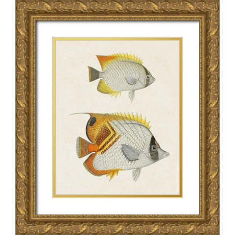 Yellow And Grey Fish I Gold Ornate Wood Framed Art Print with Double Matting by Unknown