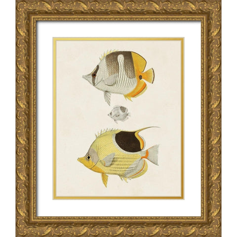 Yellow And Grey Fish II Gold Ornate Wood Framed Art Print with Double Matting by Unknown