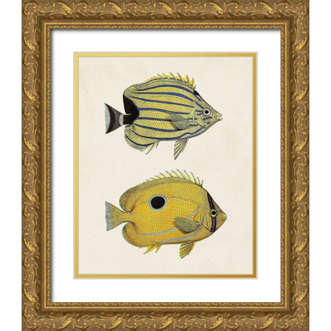 Yellow And Grey Fish III Gold Ornate Wood Framed Art Print with Double Matting by Unknown