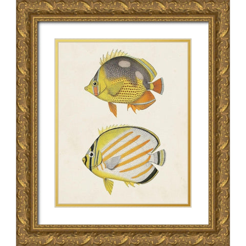 Yellow And Grey Fish IV Gold Ornate Wood Framed Art Print with Double Matting by Unknown
