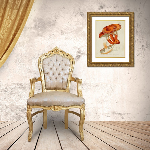 Mushroom Varieties VII Gold Ornate Wood Framed Art Print with Double Matting by Unknown
