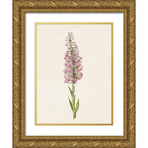 Mauve Garden Flowers I Gold Ornate Wood Framed Art Print with Double Matting by Unknown