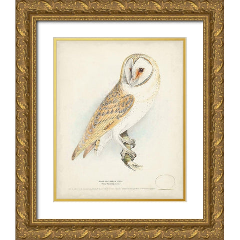 Barn Owl Gold Ornate Wood Framed Art Print with Double Matting by Meyer, H.L.
