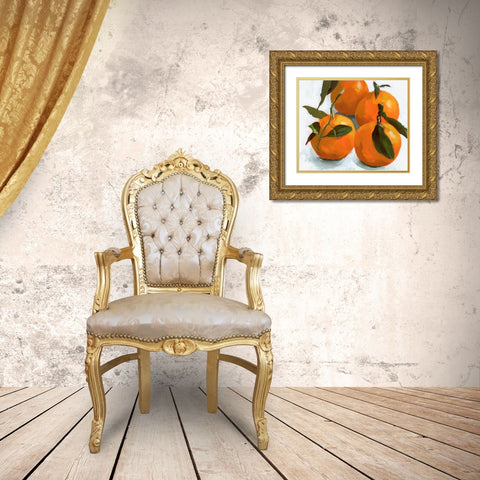 Citrus Grouping II Gold Ornate Wood Framed Art Print with Double Matting by Barnes, Victoria