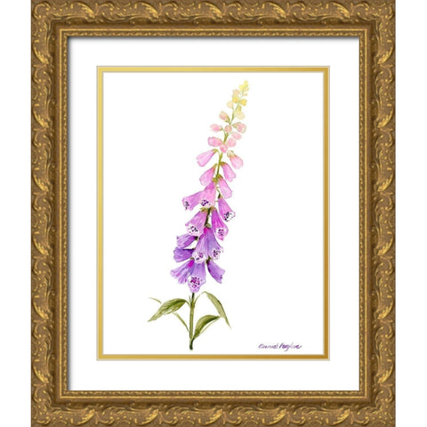 Annies Foxglove I Gold Ornate Wood Framed Art Print with Double Matting by Popp, Grace