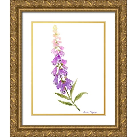 Annies Foxglove II Gold Ornate Wood Framed Art Print with Double Matting by Popp, Grace