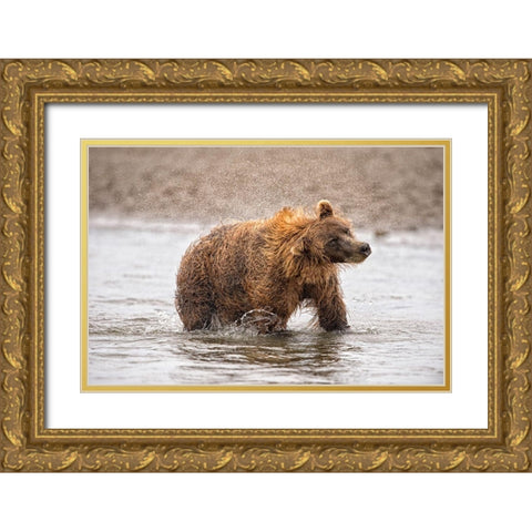 Photography Study Shake it Off Gold Ornate Wood Framed Art Print with Double Matting by PHBurchett