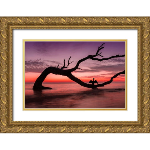 Photography Study Sunset Beach Gold Ornate Wood Framed Art Print with Double Matting by PHBurchett