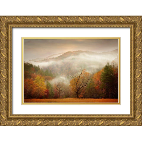 Photography Study Autumn Mist Gold Ornate Wood Framed Art Print with Double Matting by PHBurchett