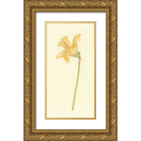 Vintage Daffodil I Gold Ornate Wood Framed Art Print with Double Matting by Caroline, Emma