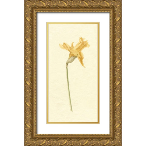Vintage Daffodil II Gold Ornate Wood Framed Art Print with Double Matting by Caroline, Emma