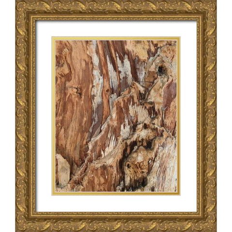 Tree Texture Triptych I Gold Ornate Wood Framed Art Print with Double Matting by Stelfox, Norm
