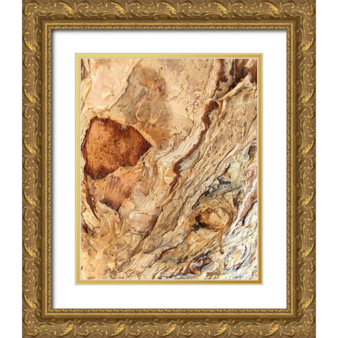Tree Texture Triptych II Gold Ornate Wood Framed Art Print with Double Matting by Stelfox, Norm