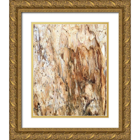 Tree Texture Triptych III Gold Ornate Wood Framed Art Print with Double Matting by Stelfox, Norm
