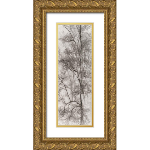 Tree Triptych I Gold Ornate Wood Framed Art Print with Double Matting by Stelfox, Norm