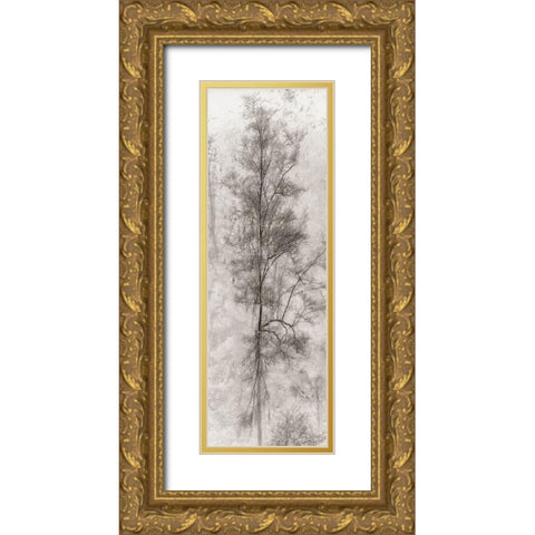 Tree Triptych II Gold Ornate Wood Framed Art Print with Double Matting by Stelfox, Norm
