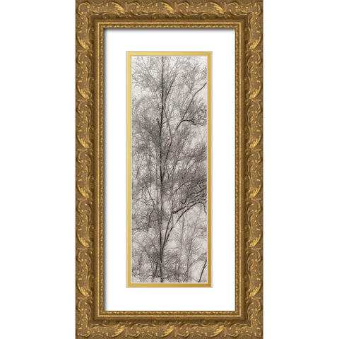 Tree Triptych III Gold Ornate Wood Framed Art Print with Double Matting by Stelfox, Norm