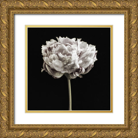 Blush Peony Portrait I Gold Ornate Wood Framed Art Print with Double Matting by Poinski, Dianne