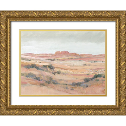 Southwest Landscape II Gold Ornate Wood Framed Art Print with Double Matting by OToole, Tim