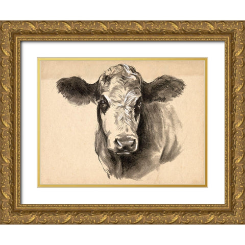 Charcoal Cow I Gold Ornate Wood Framed Art Print with Double Matting by Parker, Jennifer Paxton