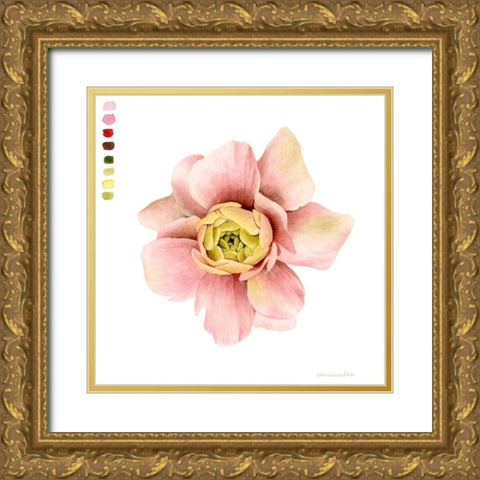 Watercolor Ranunculus Study I Gold Ornate Wood Framed Art Print with Double Matting by Popp, Grace