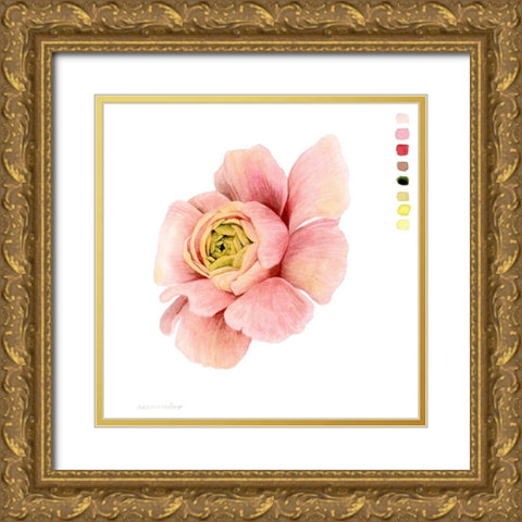 Watercolor Ranunculus Study II Gold Ornate Wood Framed Art Print with Double Matting by Popp, Grace